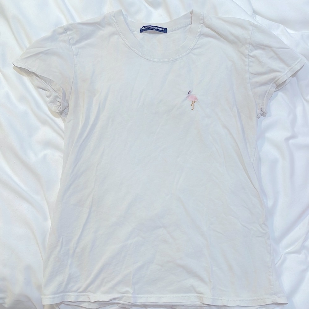 Brandy Melville Flamingo T-Shirt